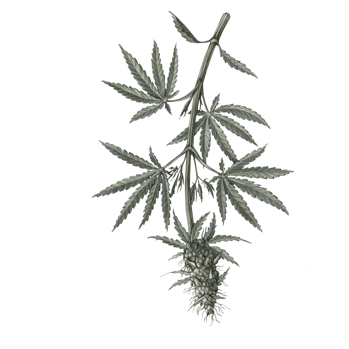 背景画像