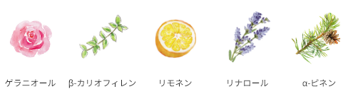 ゲラニオール β-カリオフィレン リモネン リナロール α-ピネン