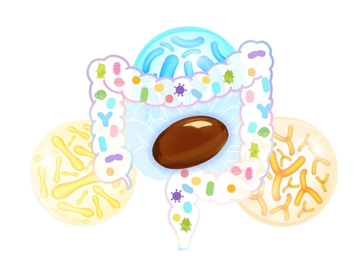 「育てて活かす」多様な菌の相乗効果