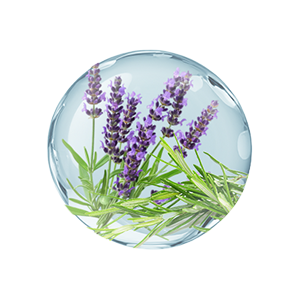 コンディショニング（養⽑）