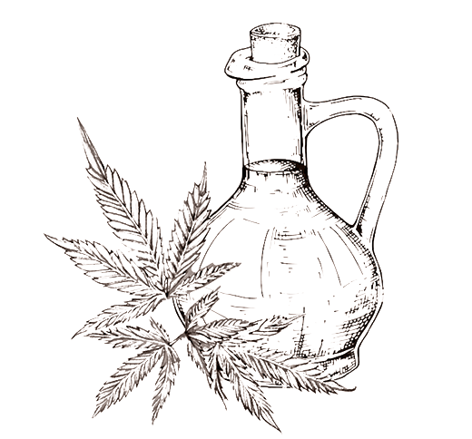 月見草