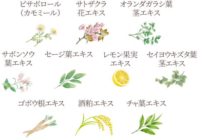 成分イラスト