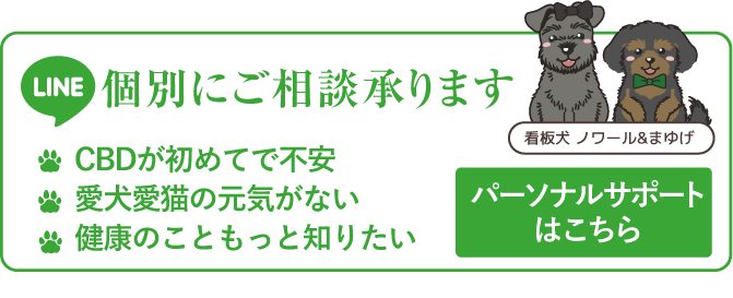LINE 個別にご相談承ります