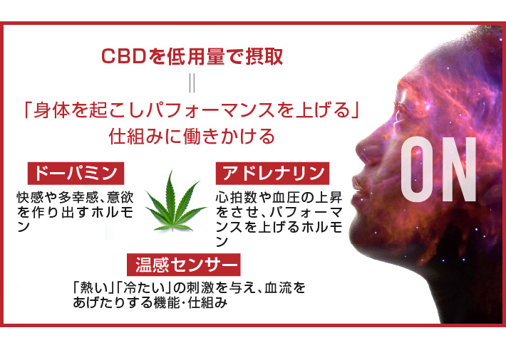 CBDを高用量で摂取した場合の作用