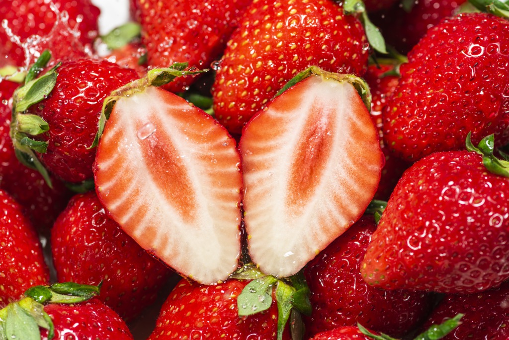 CBDの抗菌作用で鮮度が長持ち!?