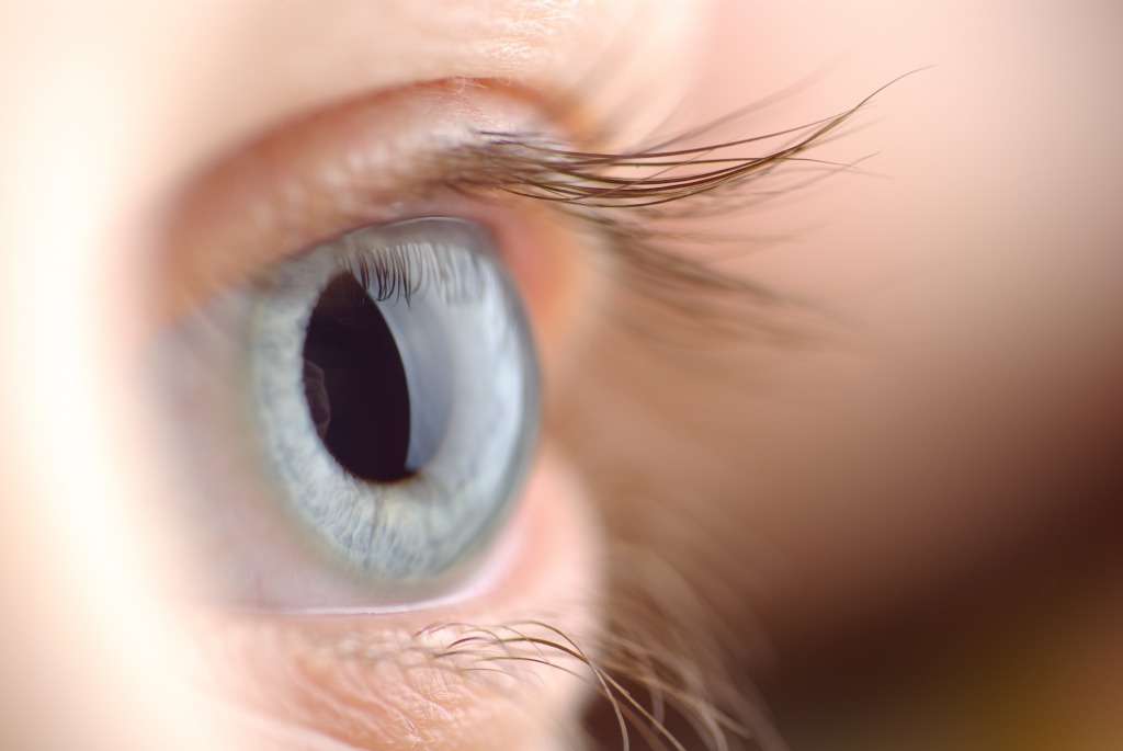 CBDは眼の病気にも効果的？【海外の研究】
